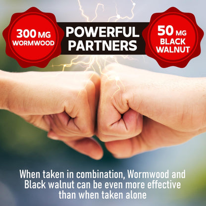 DEDICAD Wormwood Capsules - 12 Herbs Blended Black Walnut, Cloves, Ginger, Turmeric, Cinnamon, Apple, Quassia - 2 Packs 50 Capsules - Maple Wellness Supplements