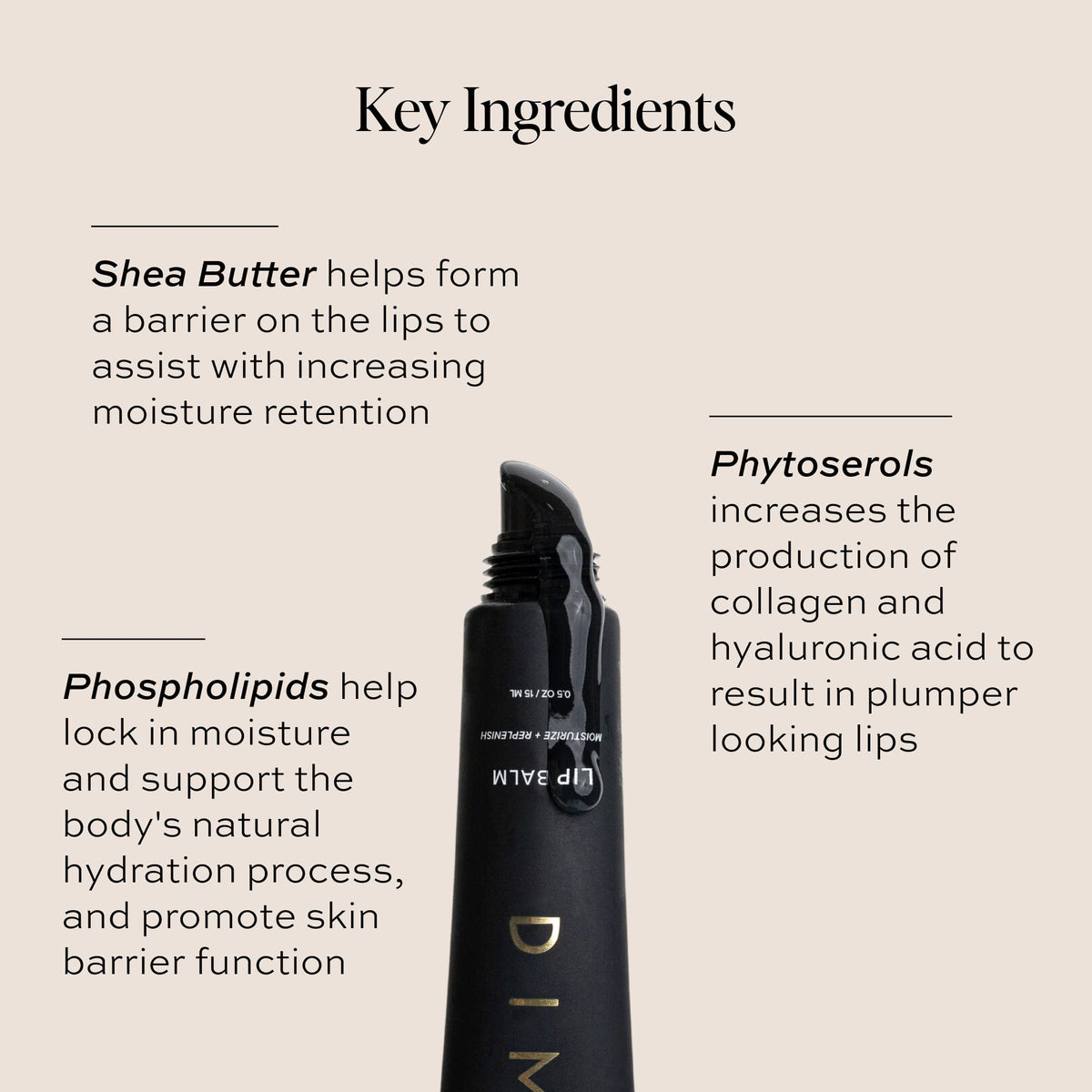 DIME Beauty Lip Balm, Hydrating Lip Balm and Gloss, Vegan & Cruelty-Free, Anti-Aging Lip Care, .5 oz / 15 ml - Maple Wellness Supplements