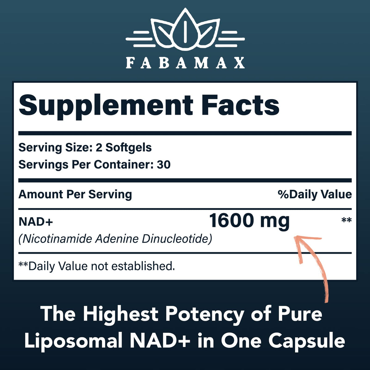 Fabamax 1600 mg Liposomal NAD Supplement, 98% Pure NAD+ Supplement, Superior Absorption, Alternative to Nicotinamide Riboside or NADH to Boost NAD+ for Aging Defense, Energy, Longevity, 120 Softgels - Maple Wellness Supplements
