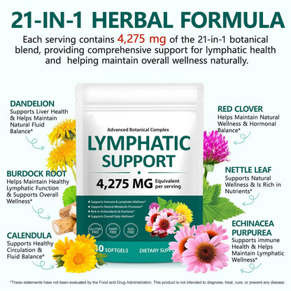 FANSHI Lymphatic Drainage Supplements 240 Softgels | Herbal Blend with Echinacea, Dandelion & Burdock Root | Promotes Healthy Circulation & Fluid Balance | Supports Overall Daily Wellness - Maple Wellness Supplements