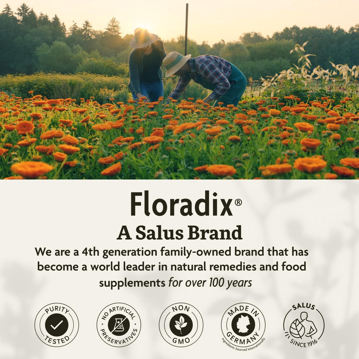 Floradix Iron & Herbs - Liquid Herbal Supplement for Energy Support - Iron Supplement with Vitamin C & Vitamin B Complex - for Men & Women - 8.5 fl oz - Maple Wellness Supplements
