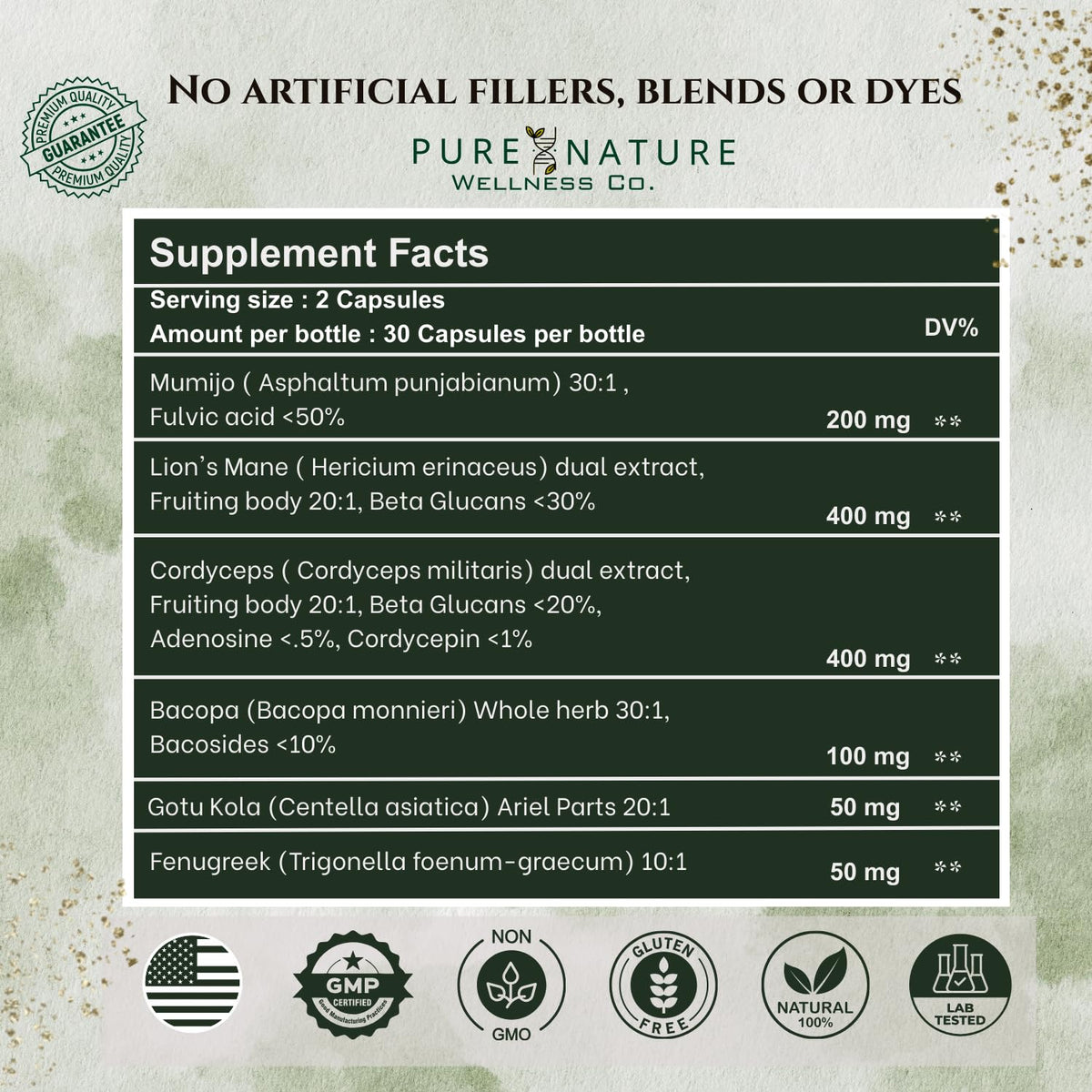 Focus + Energy + Performance Support-6-in-1 Mushroom Nootropic & Mitochondrial Complex-Advanced Brain Supplement-Natural Energy-Caffeine Free Biohack with Lion’s Mane,Cordyceps,Mumijo,Fenugreek - Maple Wellness Supplements