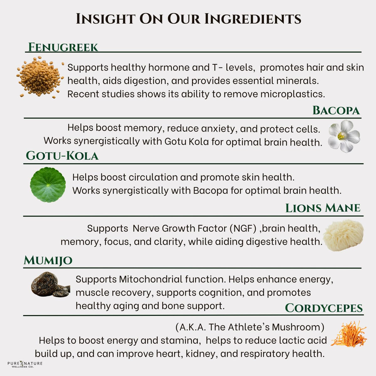Focus + Energy + Performance Support-6-in-1 Mushroom Nootropic & Mitochondrial Complex-Advanced Brain Supplement-Natural Energy-Caffeine Free Biohack with Lion’s Mane,Cordyceps,Mumijo,Fenugreek - Maple Wellness Supplements