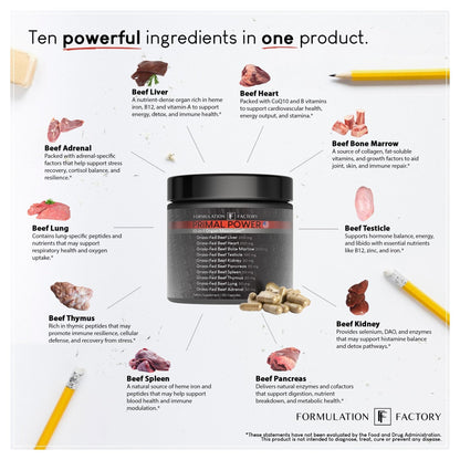 Formulation Factory Primal Power 10-in-1 Grass-Fed Organ Supplement with Beef Liver, Heart, Marrow, Testicle, Kidney, Supports Vitality, Hormones, Energy, Immunity (4 Month Supply, 240 Capsules) - Maple Wellness Supplements
