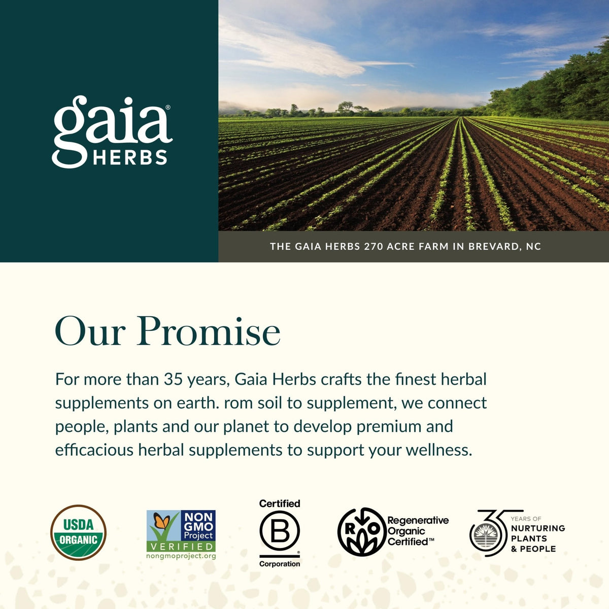 Gaia Herbs Ashwagandha Root - Stress Relief & Sleep Support Supplement - Supports Balanced Energy Levels & Positive Outlook - Maple Wellness Supplements
