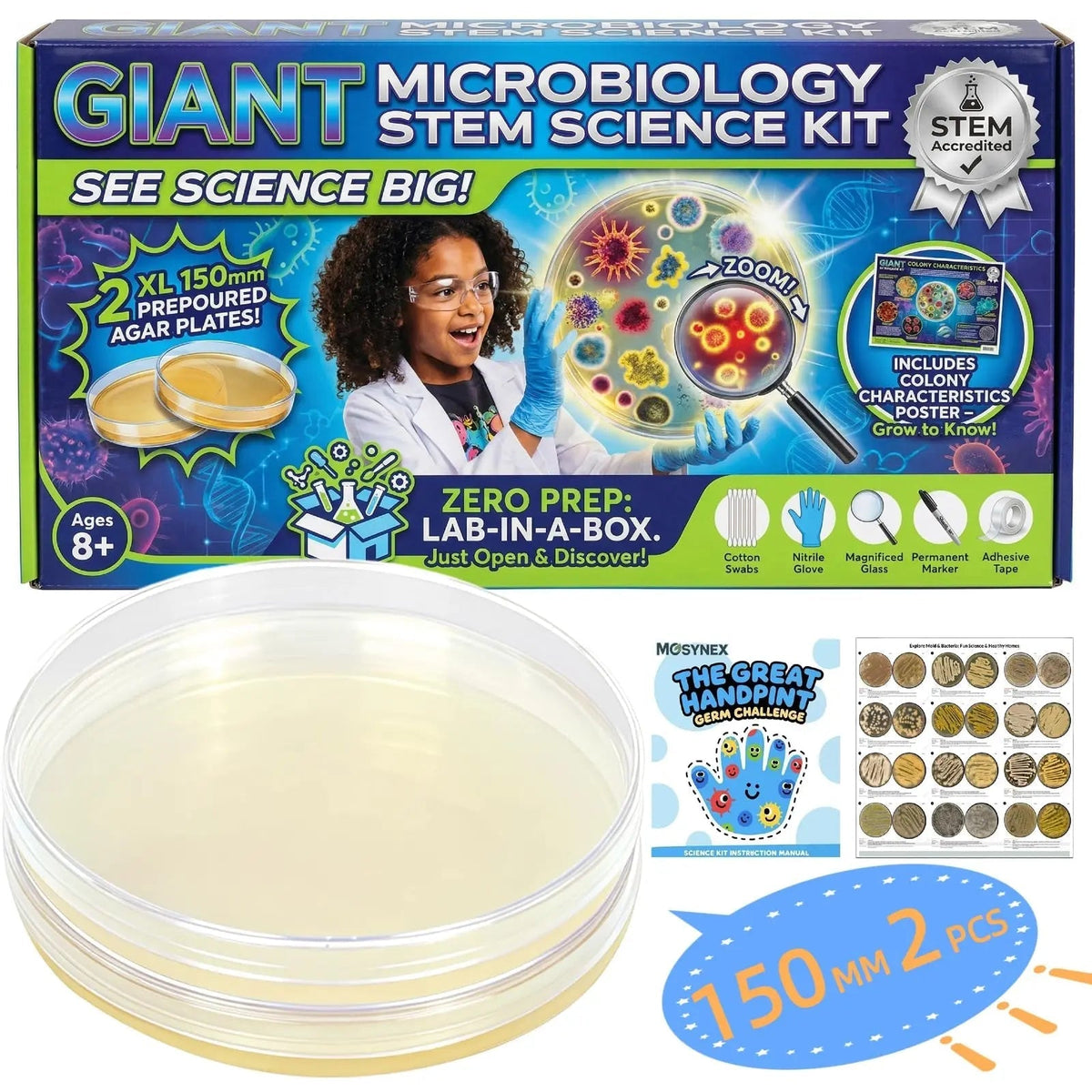 Giant Microbiology Bacteria Science Kit for Kids:2 XL 150mm Prepoured Nutrient Agar Plates, Petri Dishes with Agar & Colony Characteristics Poster for School Projects & Educational Gifts - Maple Wellness Supplements