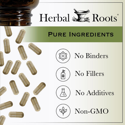 Herbal Roots Oil of Oregano - Made from Mediterranean Oregano Oil - 90 Easy to Swallow Softgel Capsules - Extra Strength 150mg - Maple Wellness Supplements