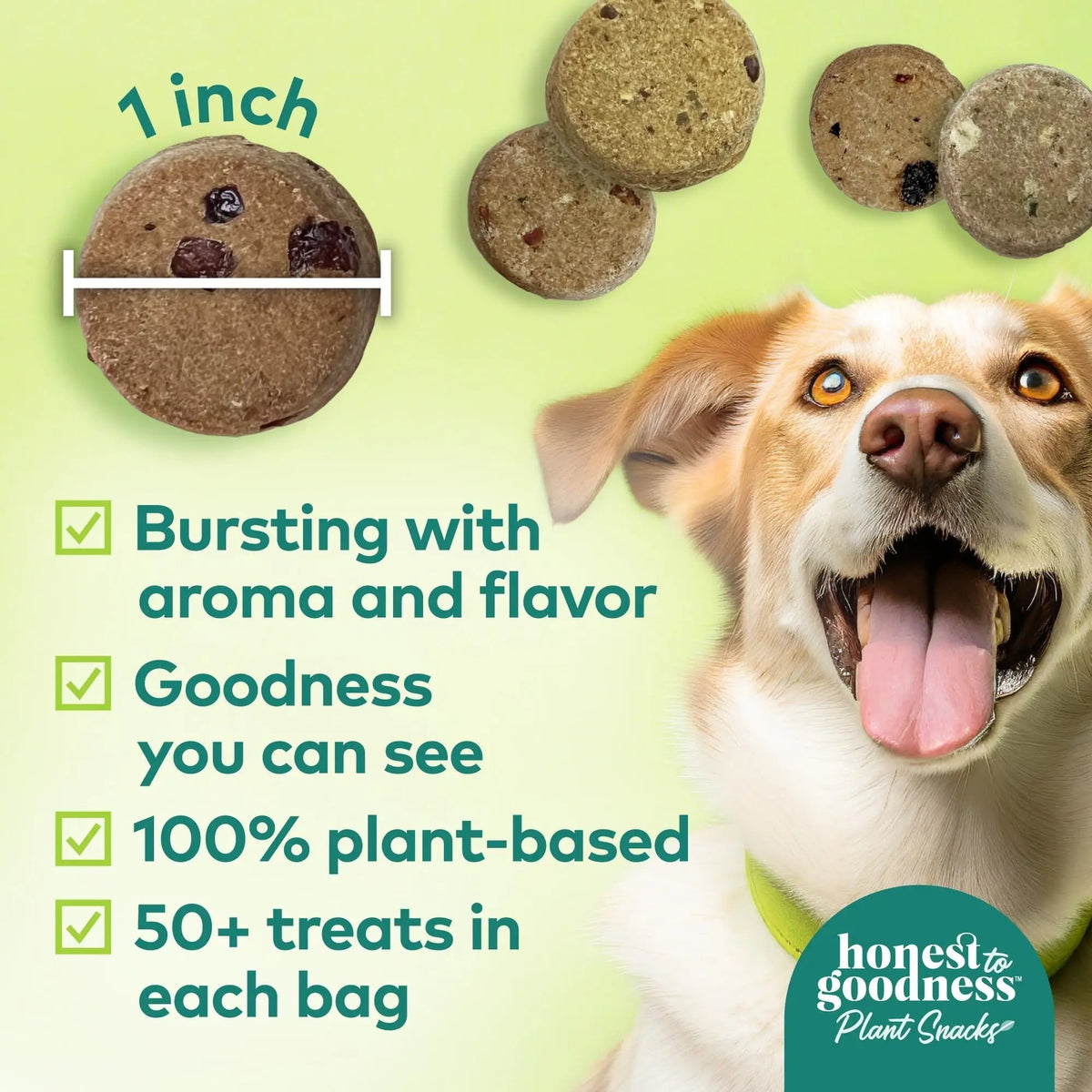 Honest to Goodness Plant Snacks Dog Treats, Enriched with Omega 3s & Postbiotics, 8oz Variety Pack, 6 Bags - Maple Wellness Supplements