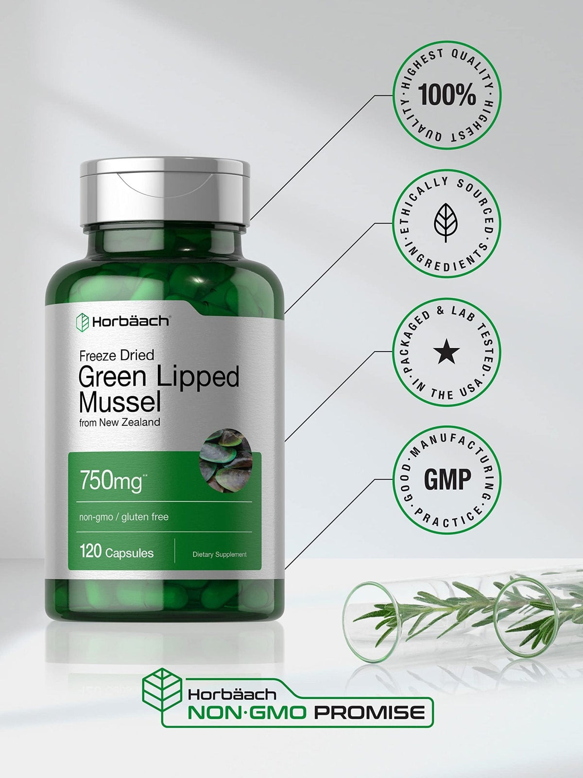 Horbäach Green Lipped Mussel |120 Capsules | from New Zealand | Premium Freeze Dried Mussel Powder - Maple Wellness Supplements