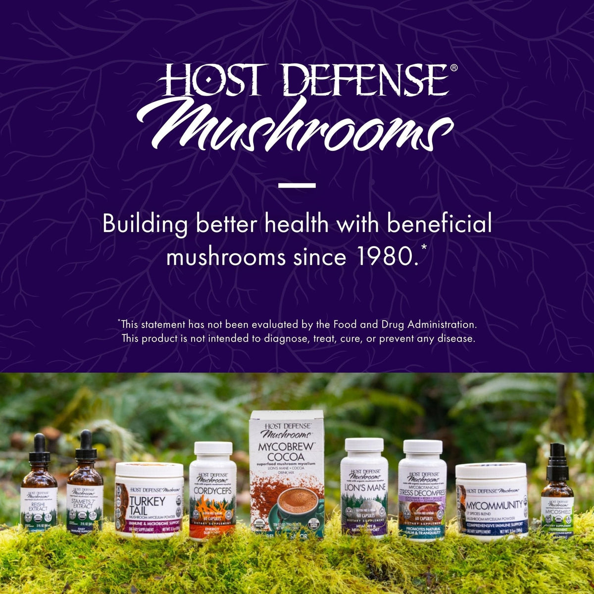 Host Defense MycoBotanicals Brain* Capsules - Brain Support Supplement with Lion's Mane, Reishi & Cordyceps Mushroom - Herbal Supplement for Memory & Focus Support - 60 Capsules - Maple Wellness Supplements
