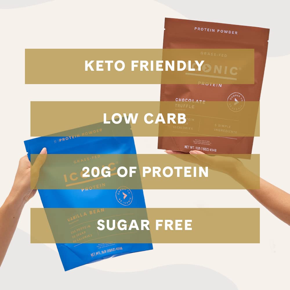 ICONIC Protein Powder, Chocolate Truffle - Sugar Free, Low Carb Protein Powder - Lactose Free, Gluten Free, Non-GMO - 20g Grass Fed Whey & Casein Protein - Keto Friendly, 1 lb. Pouch (17 Servings) - Maple Wellness Supplements