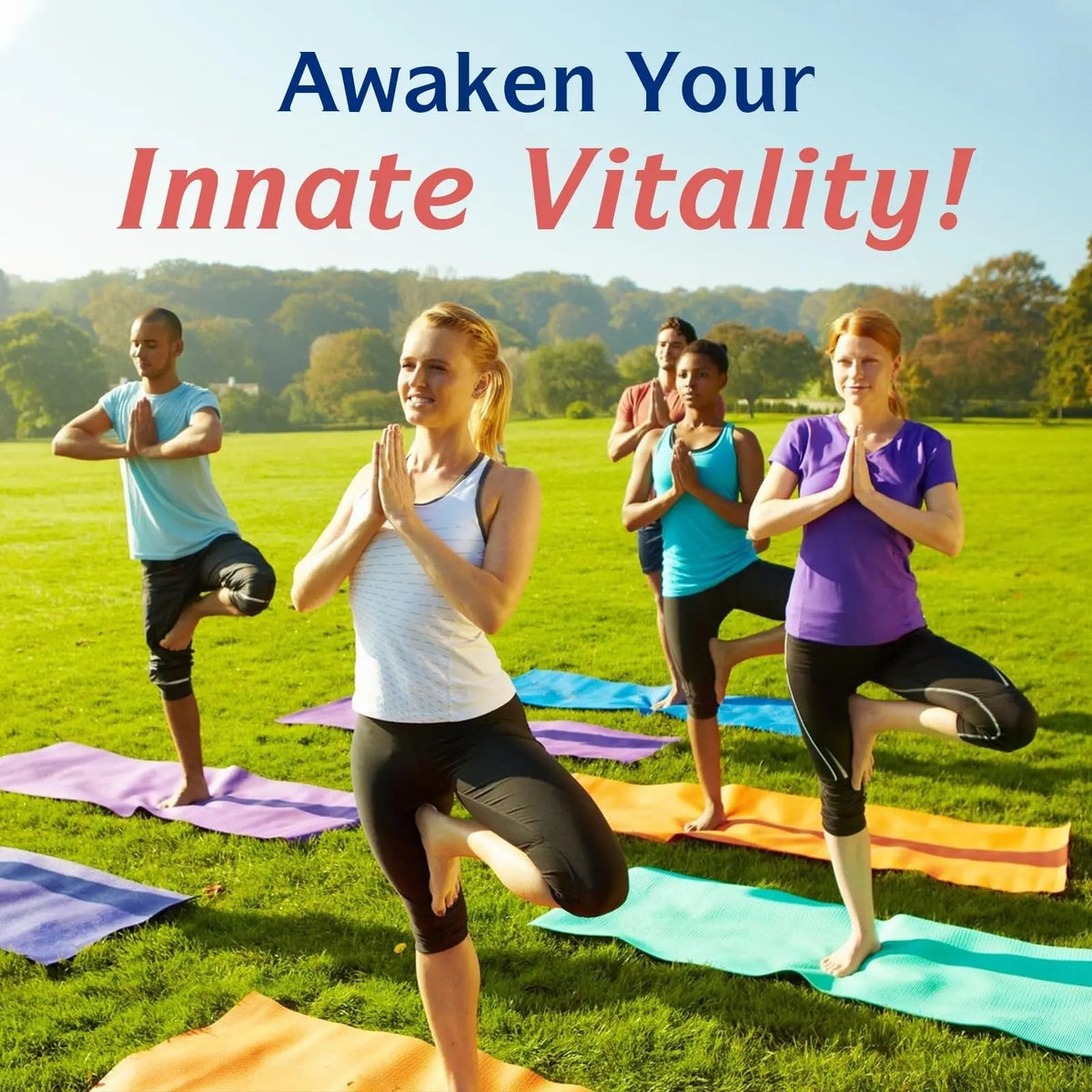 Innate Vitality Daily Probiotics for Women & Men, 30 Billion CFU of 25 Strains, Prebiotics, for Digestive Health Diarrhea Constipation Bloating & Gas Relief, Delayed Release, No Gluten, Vegan, 30 Caps - Maple Wellness Supplements