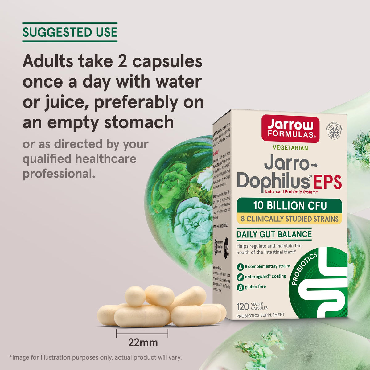 Jarrow Formulas Jarro Dophilus Probiotics 10 Billion CFU - Probiotic Supplement Capsules for Digestive Health & Gut Health for Women and Men - Maple Wellness Supplements