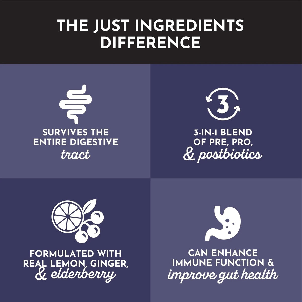 JUST INGREDIENTS Elderberry Lemonade 3-in-1 Probiotic Complex - Prebiotics, Probiotics & Postbiotics - 30 Sticks - Maple Wellness Supplements