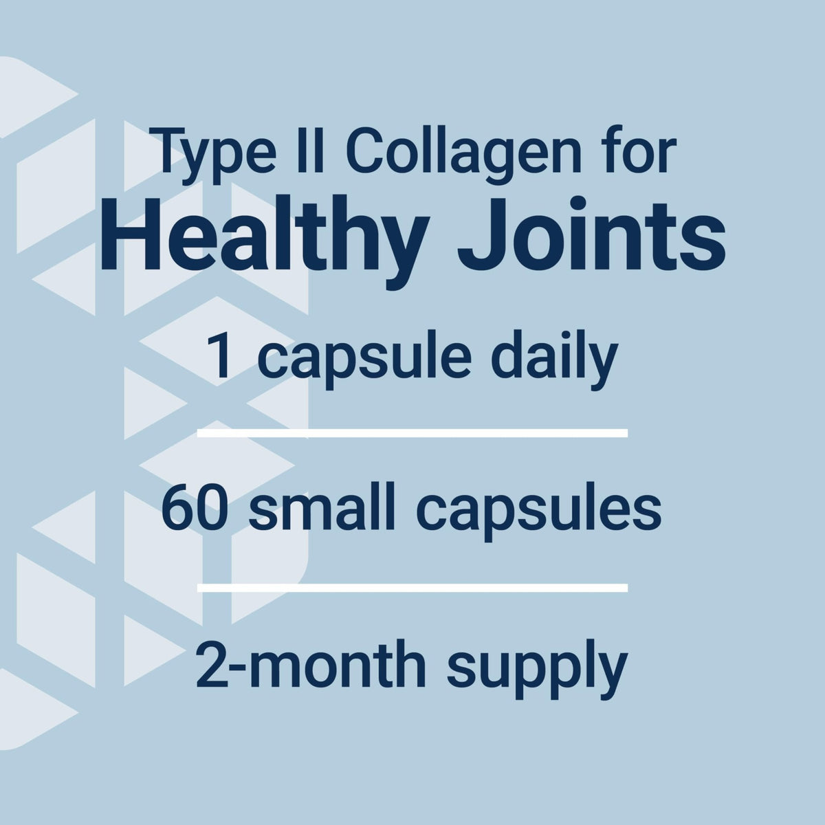Life Extension NT2 Collagen™, Joint Health Supplement for Joint Comfort & Mobility, Gluten-Free, Non-GMO, 1 Daily, 60 Small Capsules - Maple Wellness Supplements