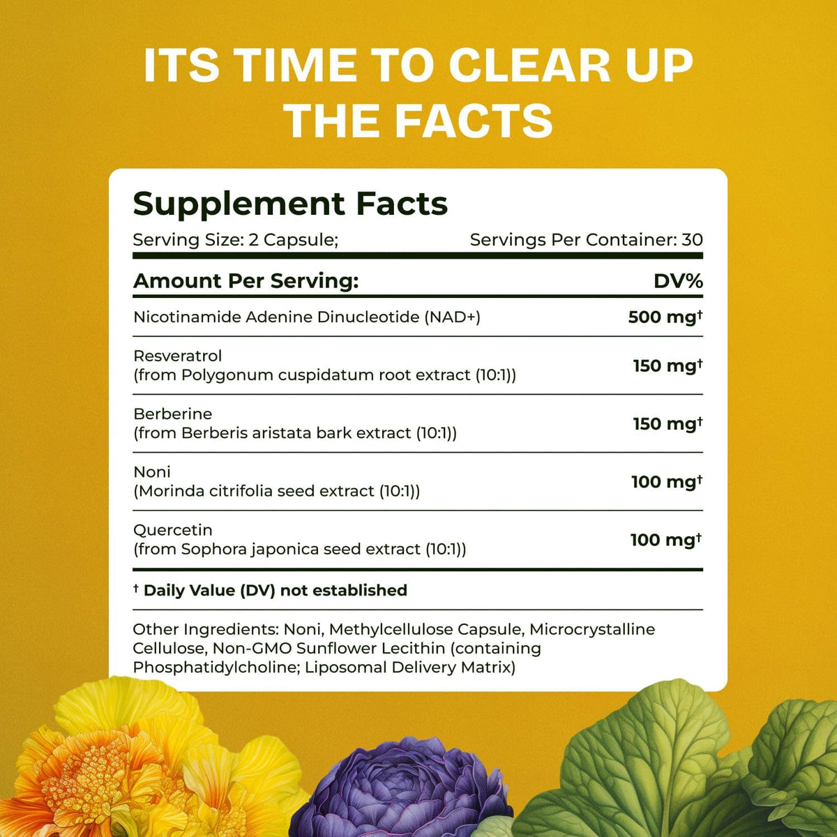 Liposomal NAD Supplement for Women w/Noni | 5-in-1 NAD Resveratrol Supplement w/Berberine & Quercetin | Pure NMN Powder Alternative | Supports Anti Aging & NAD+ Levels | 60 caps - 1 Pack - Maple Wellness Supplements