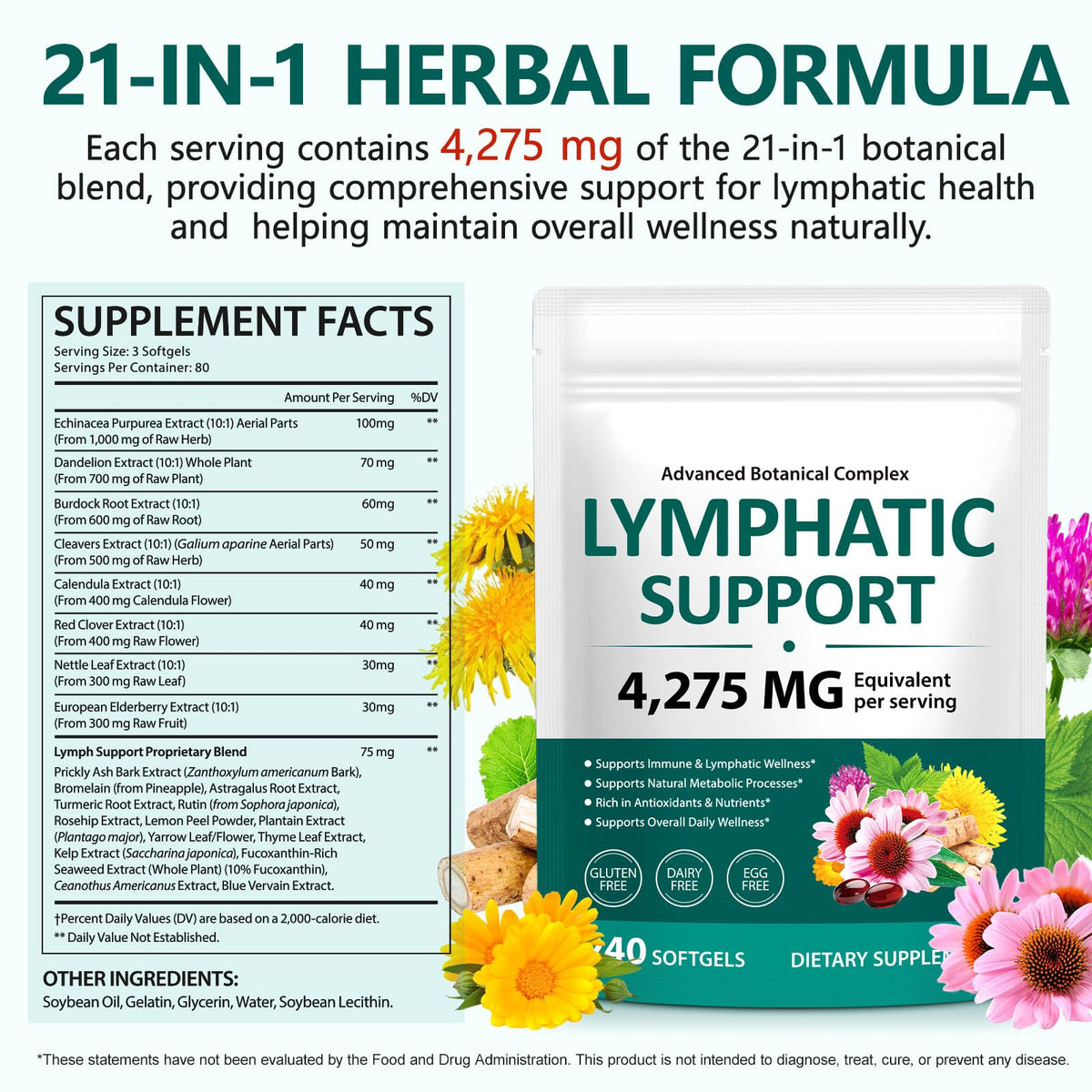 Lymphatic Drainage Supplements, 240 Softgels, Lymph System Support Supplement for Women & Men, 21-in-1 Herbal Blend with Echinacea, Burdock Root, Dandelion, Turmeric for Fluid Balance & Immune Support - Maple Wellness Supplements