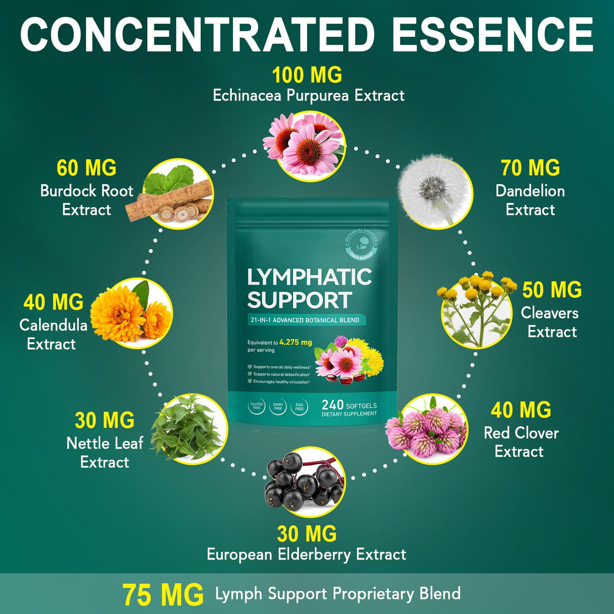 Lymphatic Drainage Supplements, Lymph System Support Supplement for Women & Men, Natural Herbal Blends with Echinacea, Dandelion, Burdock Root for Lymph System - 240 Softgels - Maple Wellness Supplements