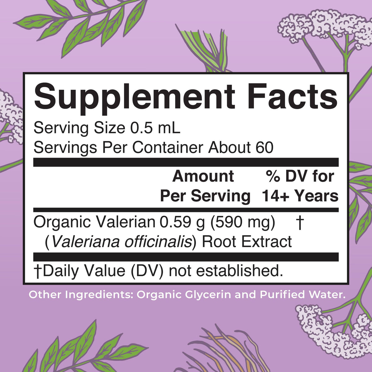 MARYRUTH'S Organics Valerian Root Liquid Drops | 2 Month Supply | Sugar Free | USDA Organic Valerian Root Drops | Support Sleep | Calm and Stress Relief - Maple Wellness Supplements