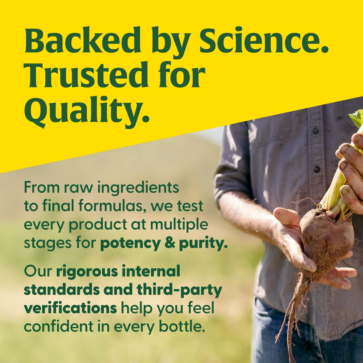 MegaFood Adrenal Strength - Adrenal Support Supplements with Ashwagandha and Magnesium Glycinate, Vitamin C, Holy Basil, Astragalus, Reduces Cortisol Levels - Vegetarian - 60 Tablets (30 Servings) - Maple Wellness Supplements