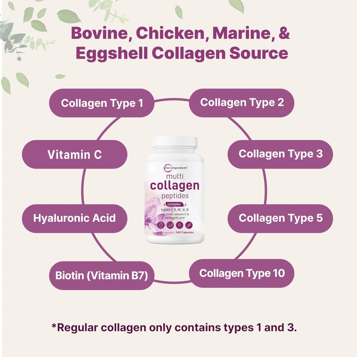 Micro Ingredients 2 Pack Multi Collagen Pills for Women & Men, 480 Capsules | Type I, II, III, V, X | Hydrolyzed Protein Peptides with Biotin, Hyaluronic Acid, & Vitamin C | Keto & Paleo Friendly - Maple Wellness Supplements