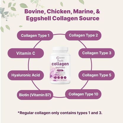 Micro Ingredients 2 Pack Multi Collagen Pills for Women & Men, 480 Capsules | Type I, II, III, V, X | Hydrolyzed Protein Peptides with Biotin, Hyaluronic Acid, & Vitamin C | Keto & Paleo Friendly - Maple Wellness Supplements