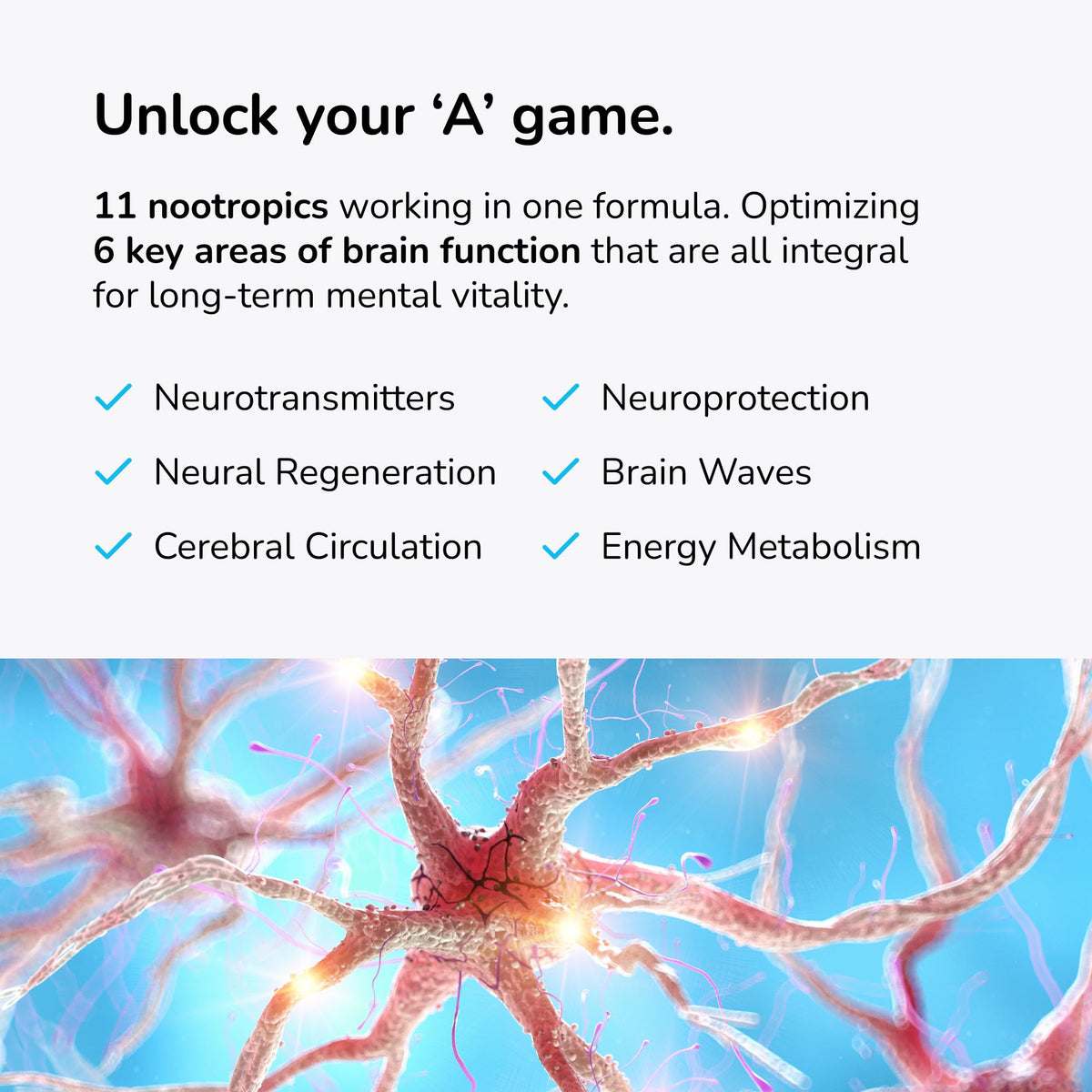 Mind Lab Pro® MLP® v4 Universal Booster Supplement for Focus, Memory, Clarity, Energy - 60-Count - Plant-Based, Naturally Sourced Memory Vitamins - Maple Wellness Supplements