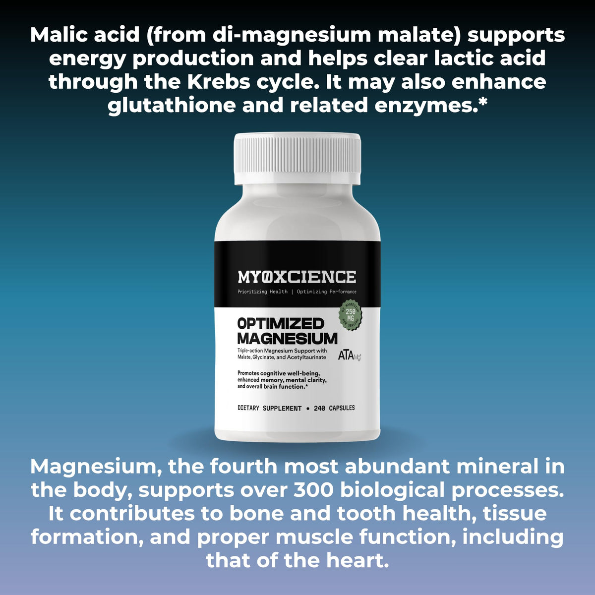 MYOXCIENCE Optimized Magnesium Glycinate + Magnesium Taurate (as ATAmag®) for High Brain Bioavailability to Support Stress Relief and Sleep | 80 Servings - Maple Wellness Supplements