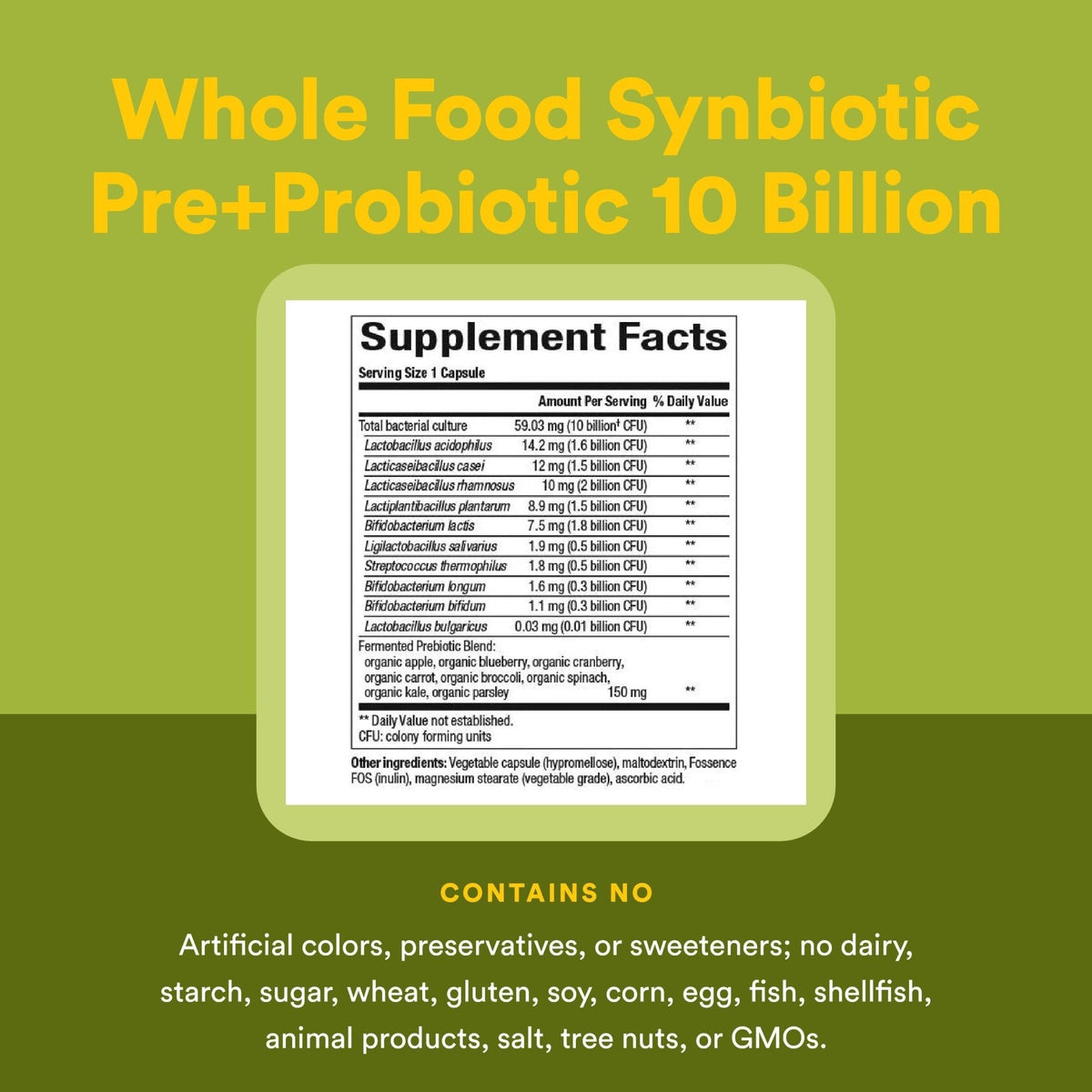 Natural Factors Whole Food Synbiotic Pre+Probiotic 10 Billion - Organic Gut & Digestive Health Supplement - Non-GMO, Gluten-Free & Dairy-Free - Maple Wellness Supplements