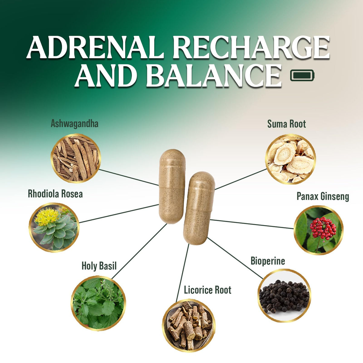 Nature's Nutrition Adrenal Support Supplements Cortex Complex, Best Energy Supplement, Supports Health & Energy Levels, Daily Ashwagandha for Women & Men, Supports Immune System, 120 Capsules - Maple Wellness Supplements