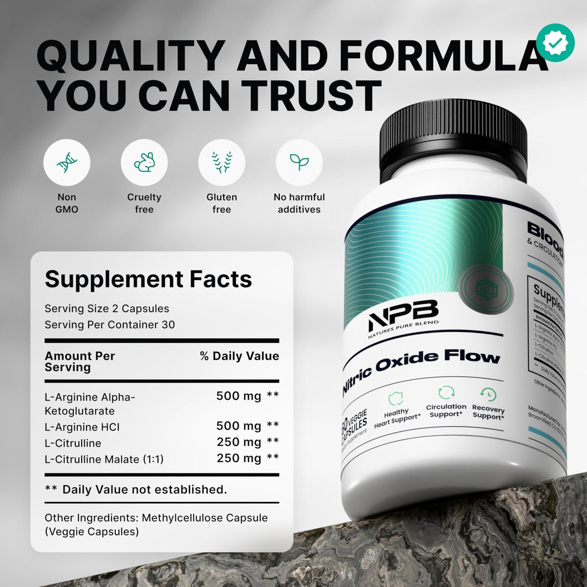 Nature's Pure Blend Nitric Oxide Supplements for Men – L-Arginine L-Citrulline – Heart Support & Flow Circulation Booster – 1500MG L Arginine and L Citrulline, Preworkout, Bodybuilding - Maple Wellness Supplements