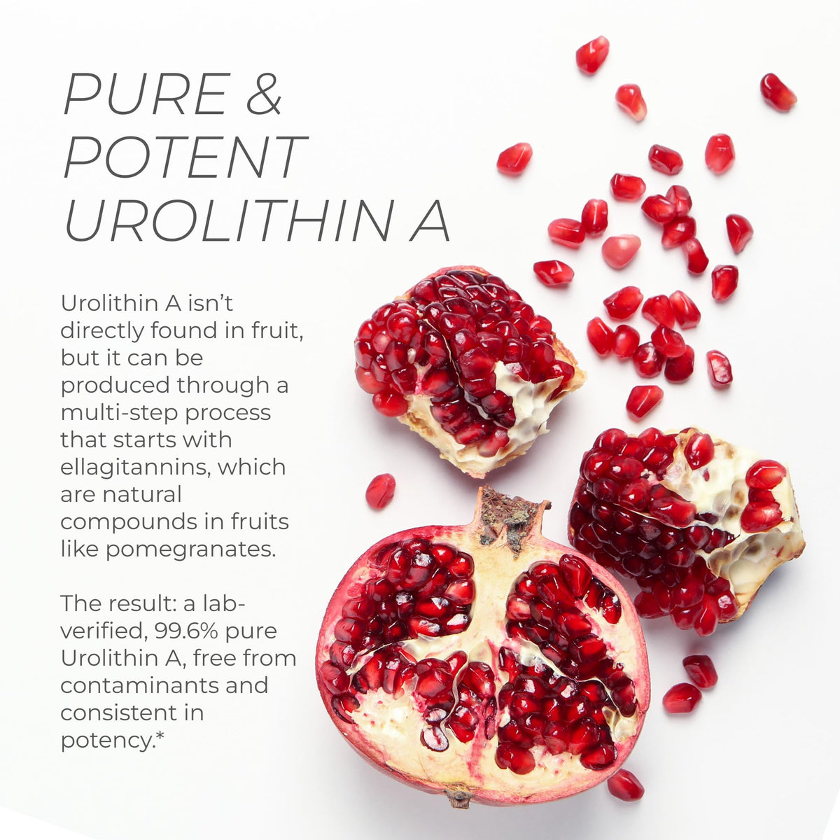 Neurogan Urolithin A PRO Capsules - 1000mg, 120 Ct - Advanced Cellular Health, Post Biotic Supplements - Ultra Micronized Urolithin A Supplement, Sourced from Pomegranate Extract - Maple Wellness Supplements