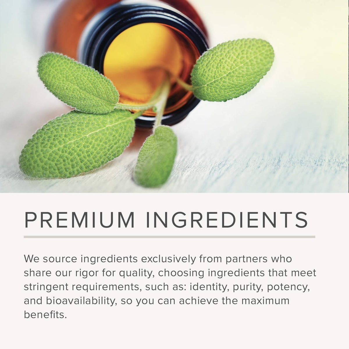 NusaPure Kidney Complex (Vegetarian) 60 caps - Maple Wellness Supplements