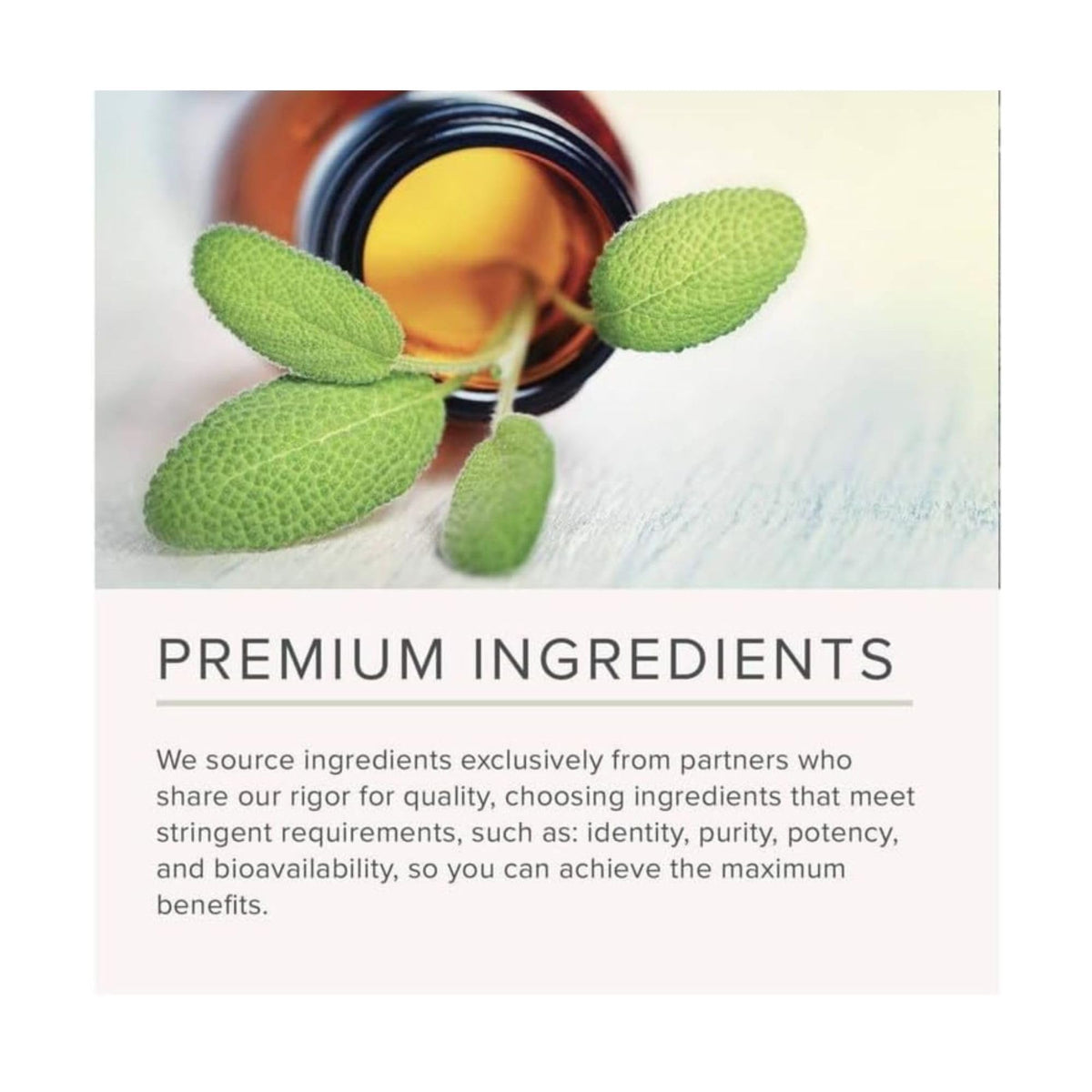 NusaPure Magnesium Oxide 1,000mg per Serving 180 Veggie Caps (Non-GMO, Vegan) - Maple Wellness Supplements