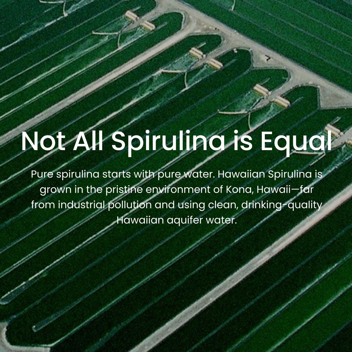 Nutrex Hawaii Pure Hawaiian Spirulina – Vegan Superfood, 500 mg Tablets, Farm Grown in Kona, Non-GMO - Maple Wellness Supplements