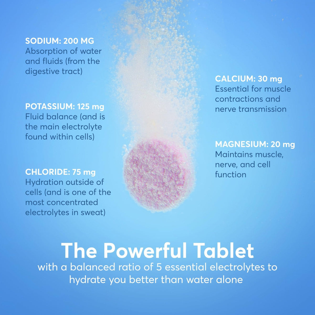 Nuun Zero Sugar Hydration Electrolyte Tablets - Sodium, Potassium, Chloride, Calcium, Magnesium, Light & Delicious Fruit Flavors, No Sugar, Gluten Free, Vegan, - Maple Wellness Supplements