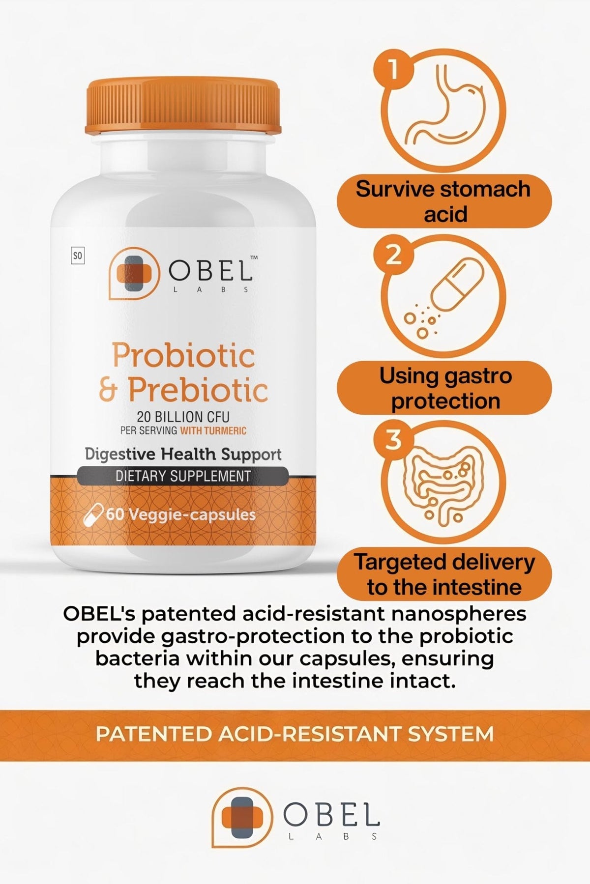 obel Probiotic & Prebiotic Supplement with Turmeric | 20 Billion CFU | 60 Capsules (30 Day Supply) | 4 Strains | Supports Digestion - Maple Wellness Supplements