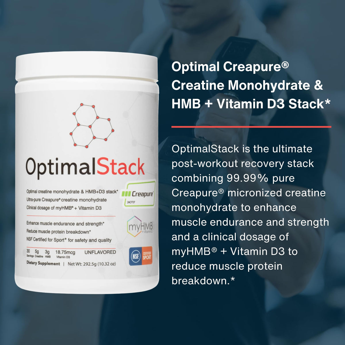 OptimalStack Creatine Monohydrate, HMB, & Vitamin D3 Stack | with Creapure Creatine, Clinical Dosage of myHMB, and Vitamin D3 | NSF for Sport Certified | Unflavored, 30 Servings - Maple Wellness Supplements