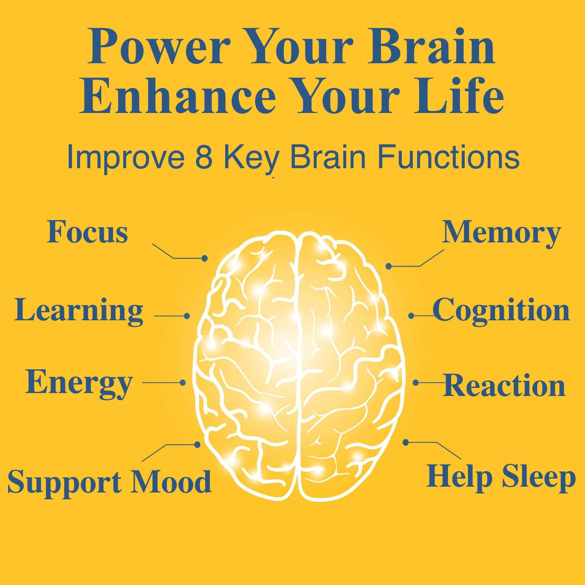 OPTINOURISH Brain Supplement for Memory and Focus, Nootropic for Adults, Fuel Brain Energy & Mental Clarity, Caffeine Free,Cognitive Support, Doctor-Formulated, Made in USA,cGMP,120 Caps - Maple Wellness Supplements
