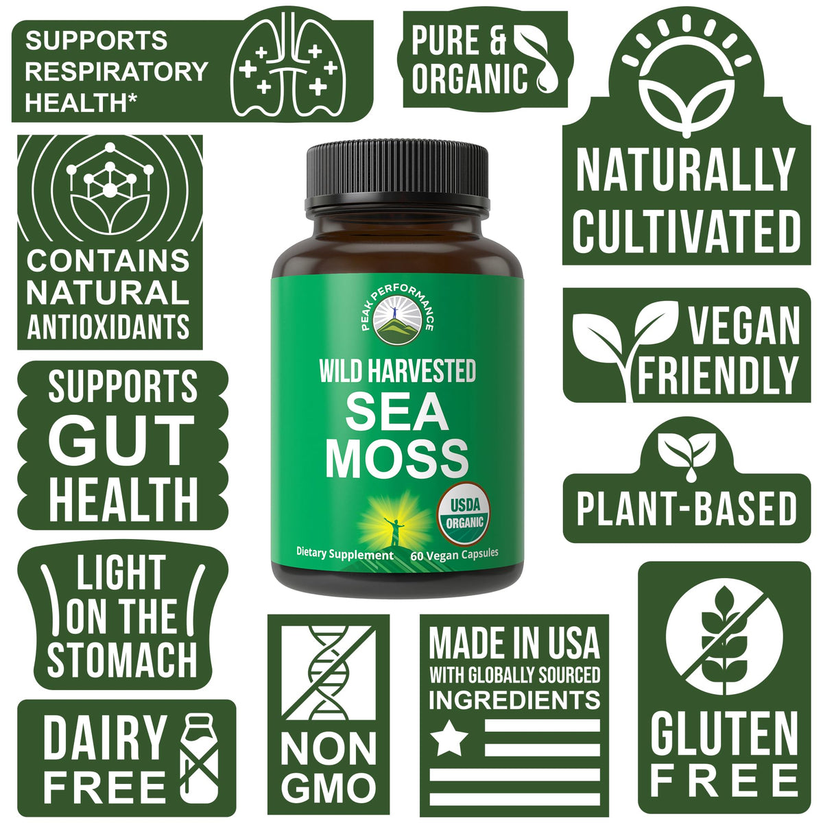 Organic Sea Moss Capsules. Wild Harvested Sea Moss Raw Organic Vegan Supplement from Red Algae Seaweed. 100% Whole Extract Raw Irish SeaMoss Superfood Pills. for Gut, Respiratory, Immune Support. - Maple Wellness Supplements