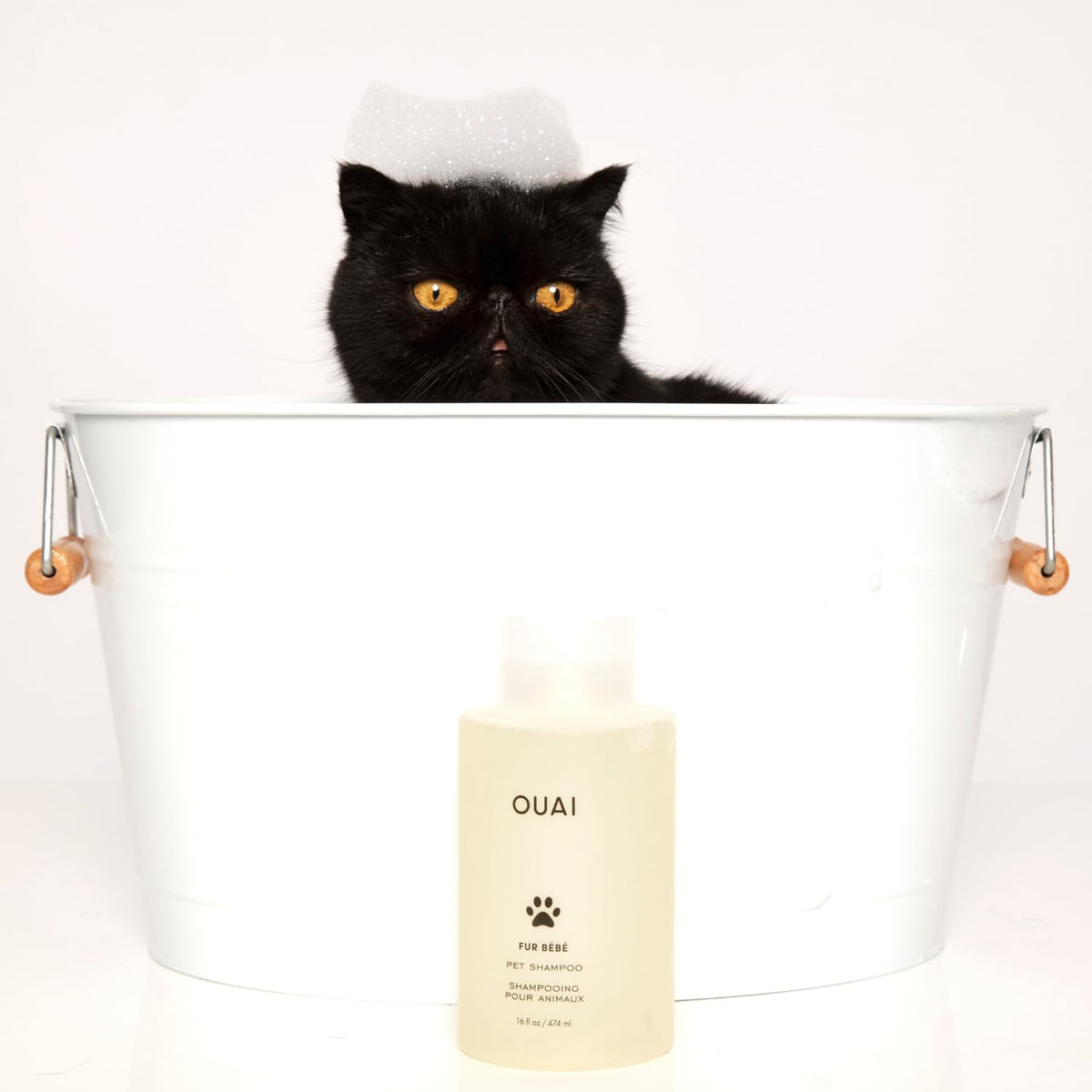 OUAI Fur Bébé Pet Shampoo, Mercer Street Scent - Dog Shampoo and Coat Wash for Hydrating, Cleansing and Adding Shine - Pet Supplies by OUAI (16 Fl Oz) - Maple Wellness Supplements