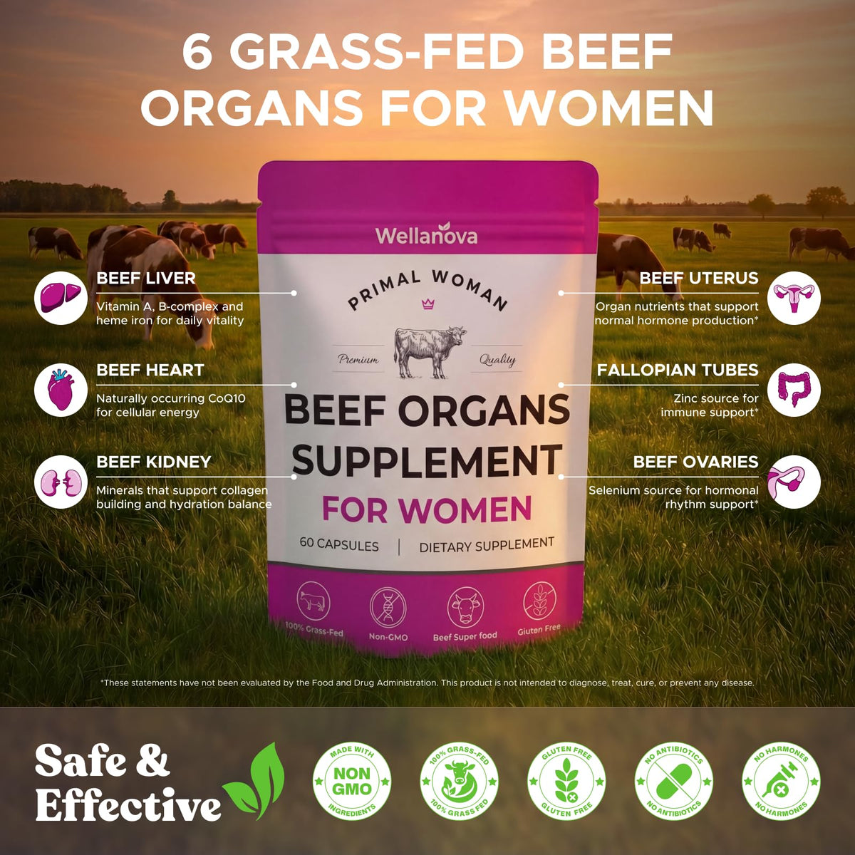Primal Beef Organ Supplement for Women, Grass-Fed Ancestral Superfood Supplement with Uterus & Liver for Hormone Balance & Queen Energy - 60 Day Supply - Maple Wellness Supplements