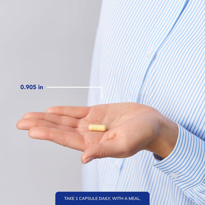 Pure Encapsulations O.N.E. Multivitamin - Once Daily Multivitamin with Antioxidant Complex Metafolin, CoQ10, and Lutein to Support Vision, Cognitive Function, and Cellular Health* - 60 Capsules - Maple Wellness Supplements