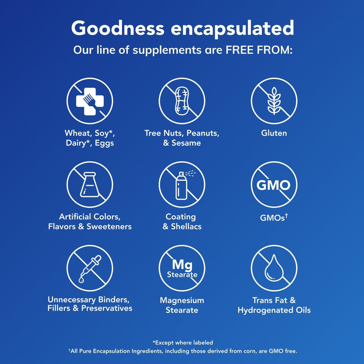Pure Encapsulations O.N.E. Multivitamin - Once Daily Multivitamin with Antioxidant Complex Metafolin, CoQ10, and Lutein to Support Vision, Cognitive Function, and Cellular Health* - 30 Capsules - Maple Wellness Supplements