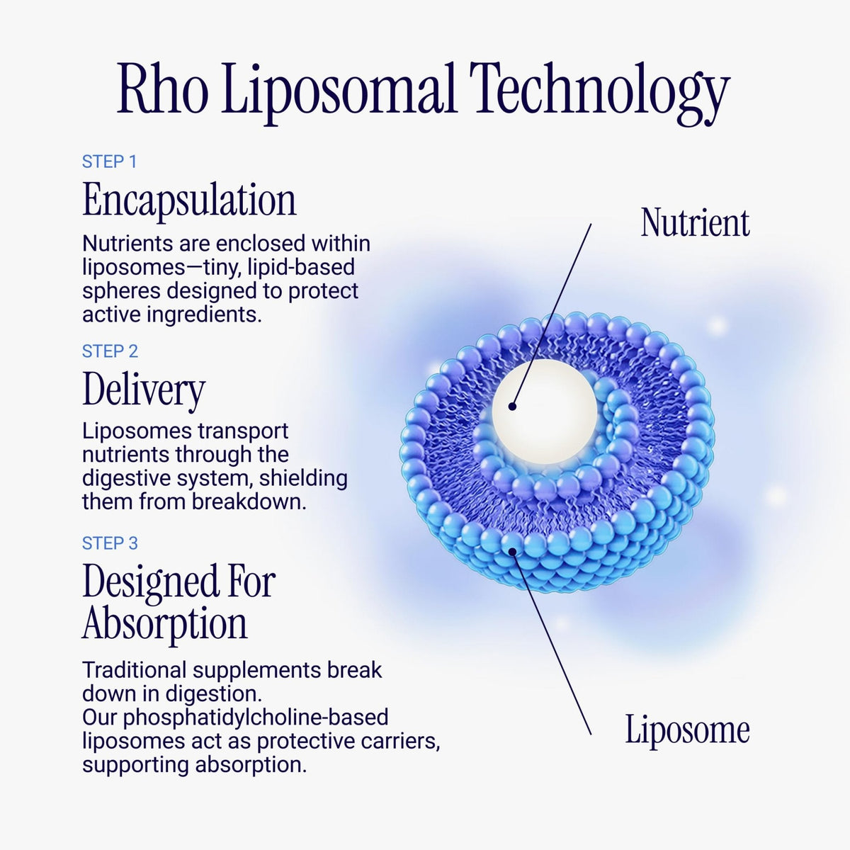Rho Nutrition Liposomal Collagen Peptides - High-Absorption Liquid Collagen Supplement - Supports Skin Elasticity, Joint Health - Maple Wellness Supplements
