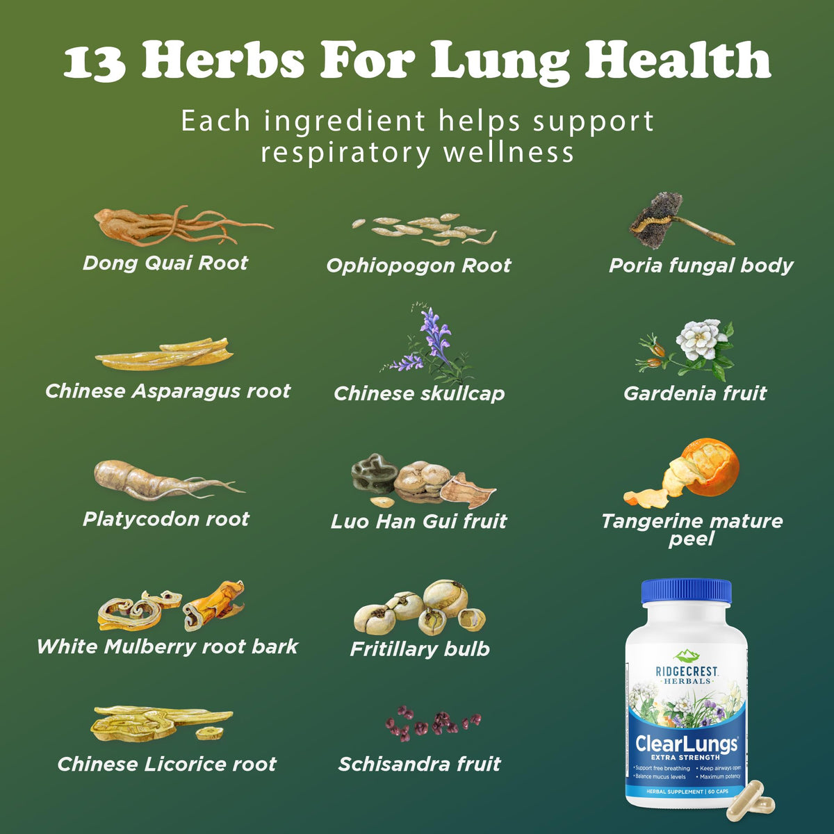 RidgeCrest Herbals ClearLungs Extra Strength, Daily Health Supplement, Natural Lung and Nasal Wellness Formula - Maple Wellness Supplements