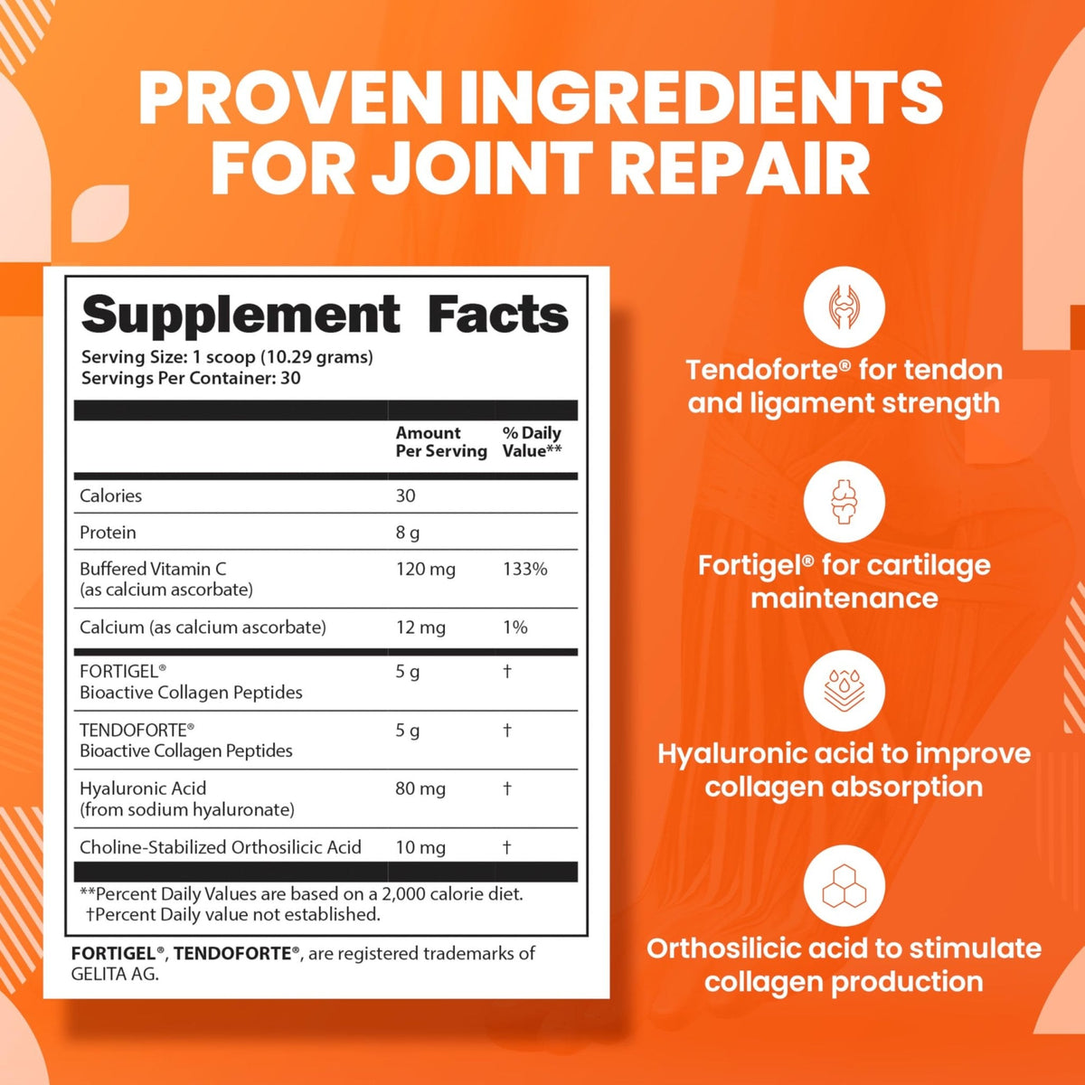 SaltWrap Collagen Synthesis - Collagen Peptides for Joints with Fortigel, Tendoforte, Best Collagen Powder for Tendons, Ligaments, and Cartilage Recovery and Repair, NSF Certified for Sport - Maple Wellness Supplements