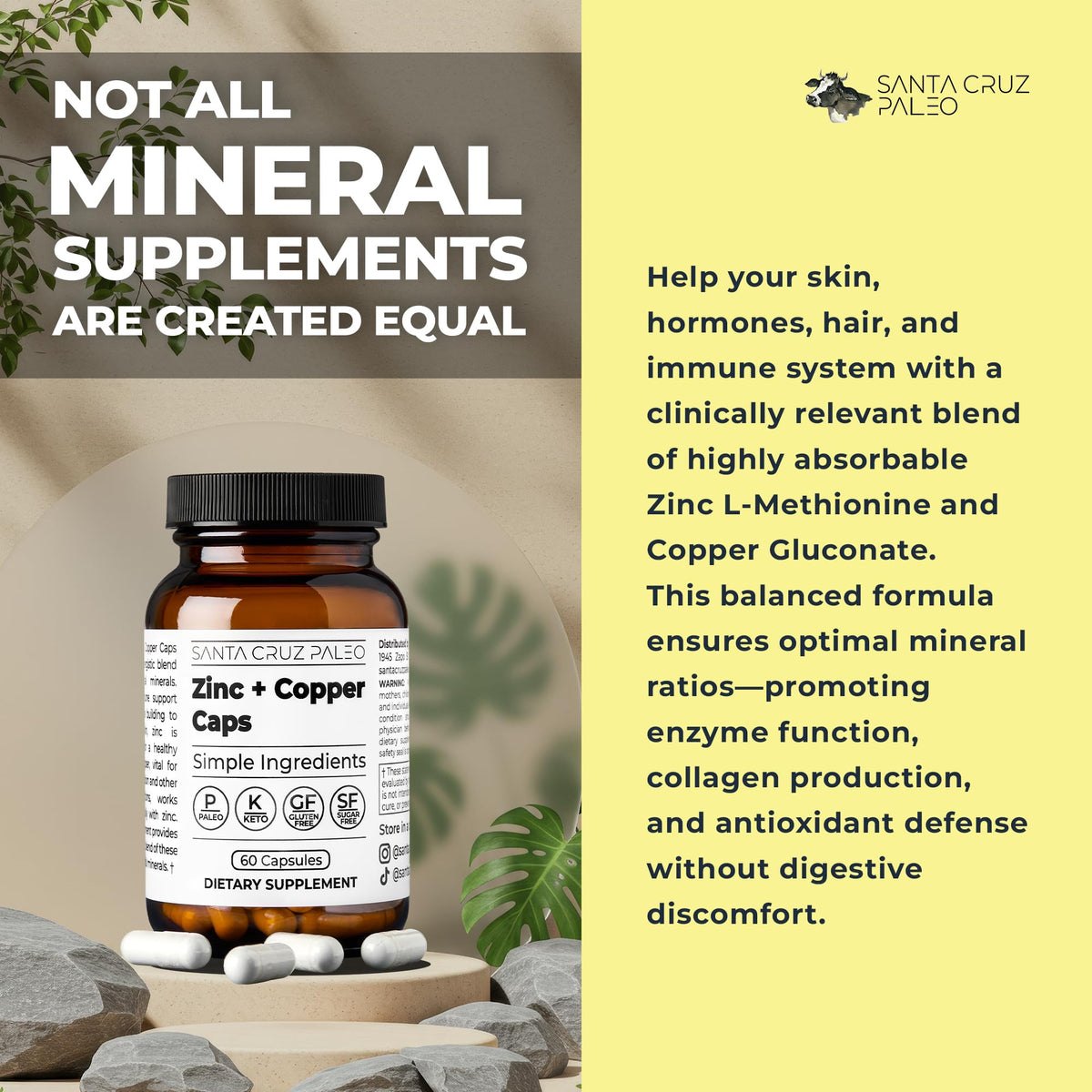 Santa Cruz Paleo, Zinc & Copper Mineral Supplement, High Absorption Formula, Zinc Supplement for Skin & Hair, L Methionine, Copper Gluconate, Trace Minerals - Maple Wellness Supplements