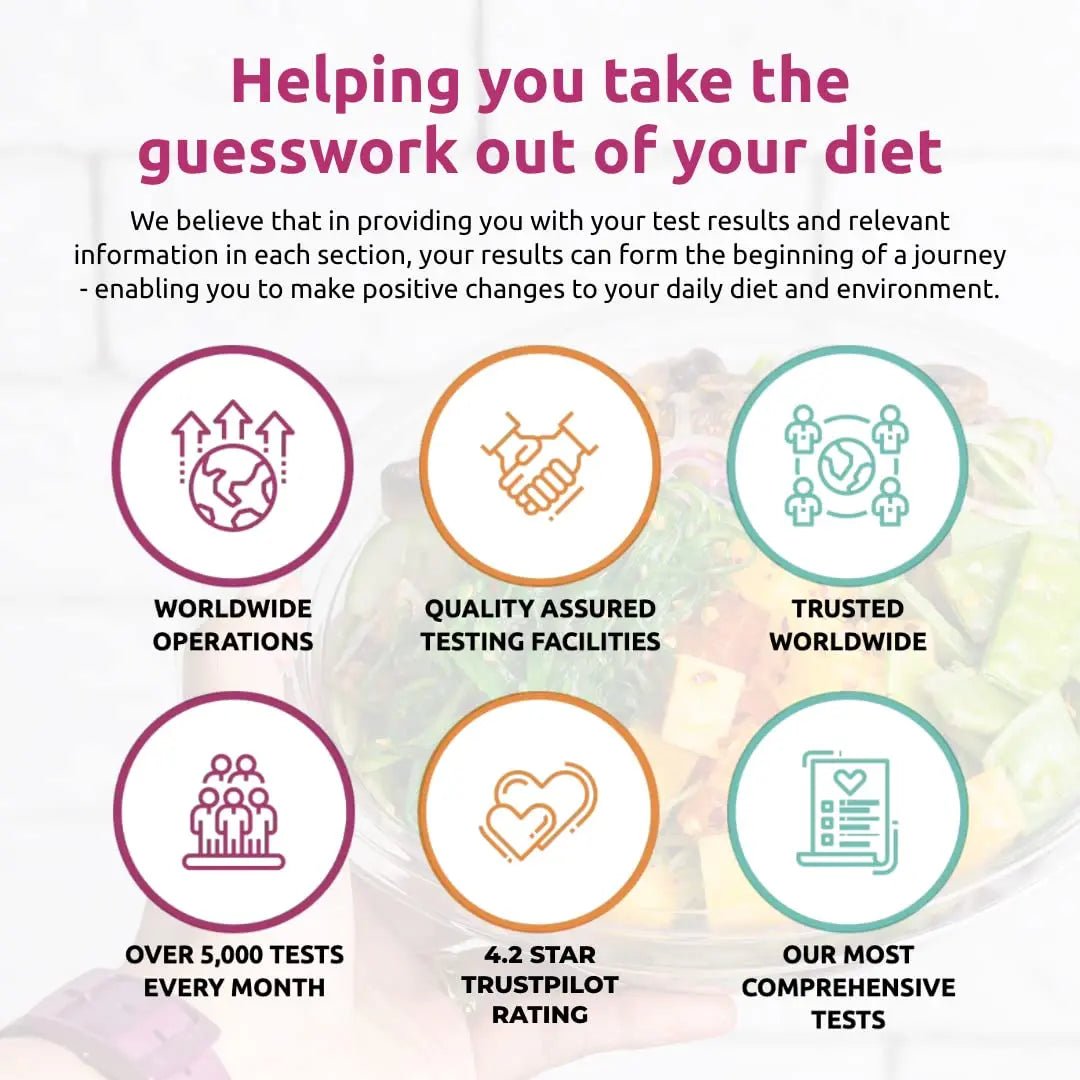 Simply Sensitivity Checks 900+ Items Food Sensitivity Test Kit for Adults – Foods & Non-Foods, Including Lactose, Gluten, Vitamins, Minerals, Gut Health & More – at-Home Food Intolerance Test Kit - Maple Wellness Supplements