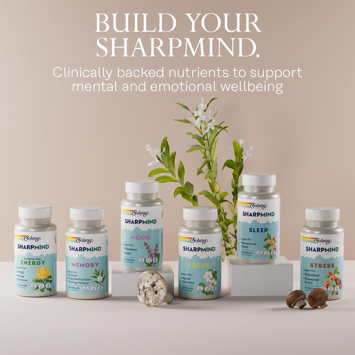 SOLARAY SharpMind Focus, Mental Alertness Nootropic Supplement for Healthy Brain Fog, Cognizin Citicoline, Lions Mane Mushroom, Bacopa Monnieri, 60 Day Money Guarantee, 60 Serv 60 Veg Caps - Maple Wellness Supplements